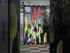 Visual Maxcolor Shenzhen